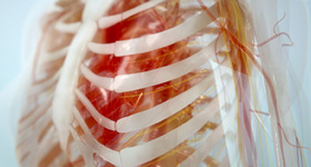 3D医学动画创作