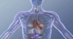 3D医学动画创作