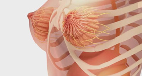 3D医学动画创作