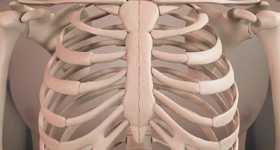 3D医学动画创作