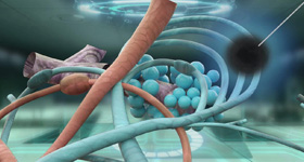 解剖及病理分析演示