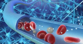 解剖及病理分析演示