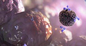 解剖及病理分析演示