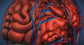 解剖及病理分析演示